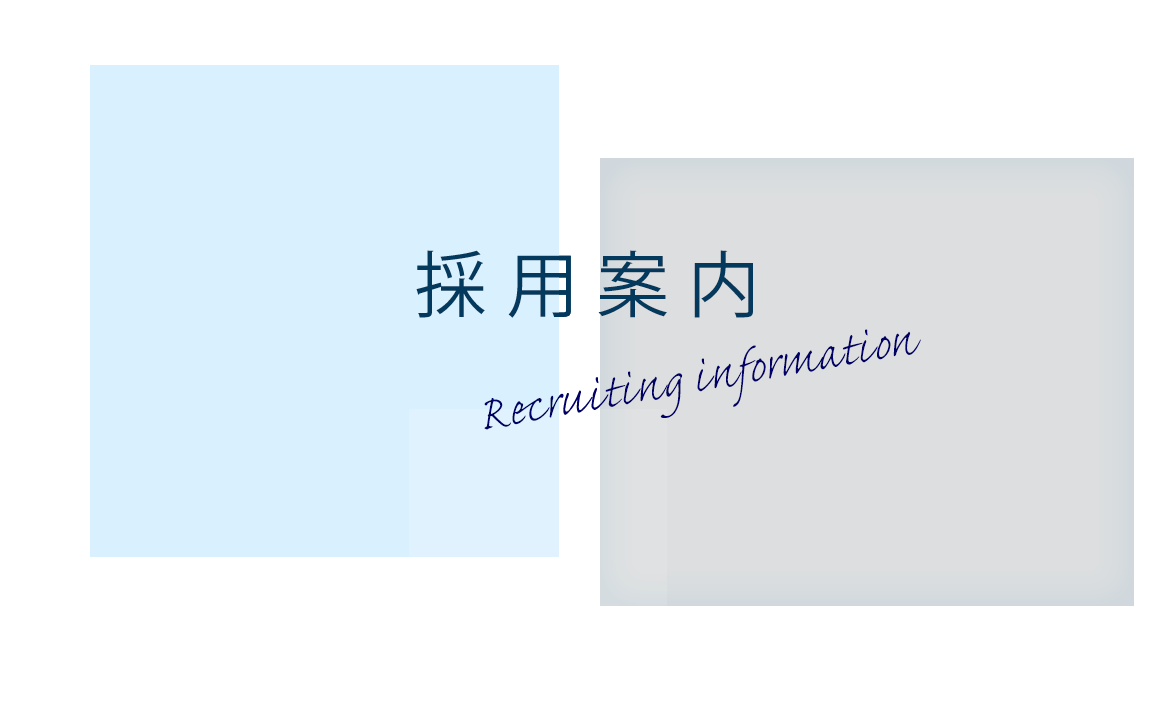 採用案内